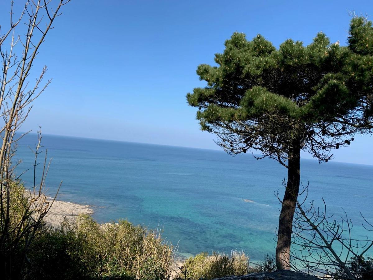 Appartement Villa Chausey, Vue Sur Le Port Granville Esterno foto